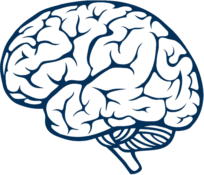 Blue Brain